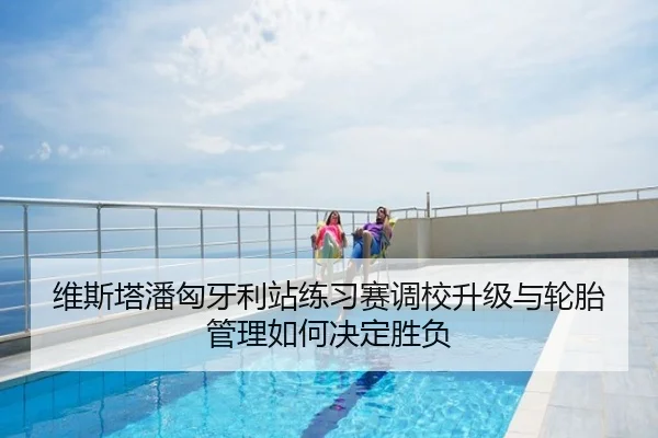 维斯塔潘匈牙利站练习赛调校升级与轮胎管理如何决定胜负