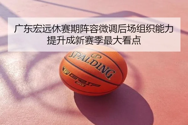 广东宏远休赛期阵容微调后场组织能力提升成新赛季最大看点