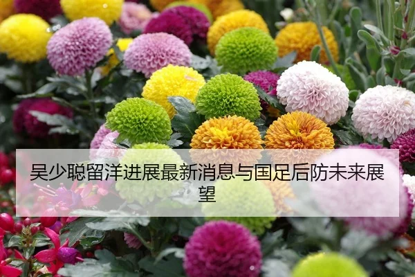 吴少聪留洋进展最新消息与国足后防未来展望