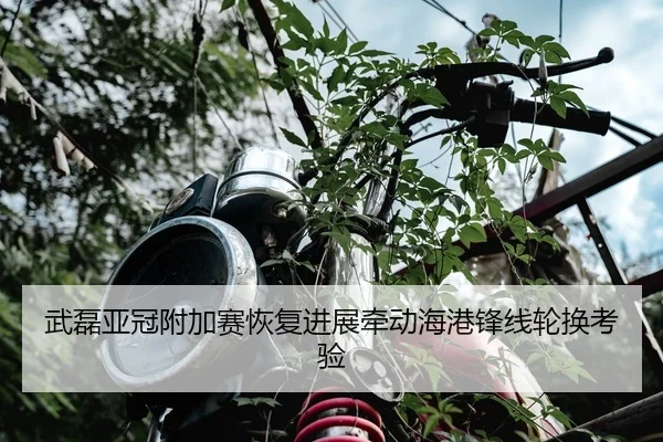 武磊亚冠附加赛恢复进展牵动海港锋线轮换考验