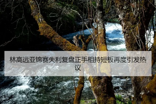 林高远亚锦赛失利复盘正手相持短板再度引发热议
