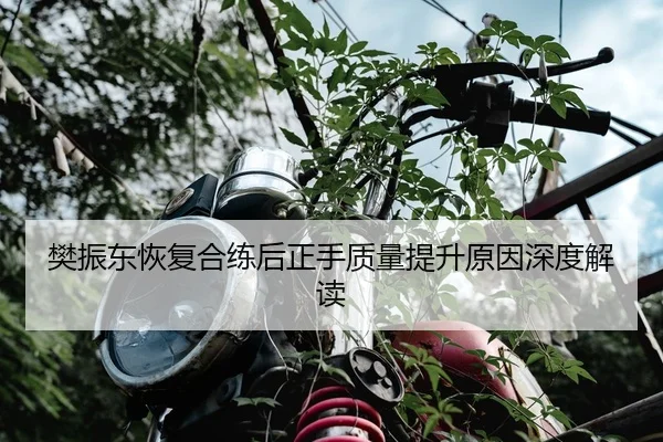 樊振东恢复合练后正手质量提升原因深度解读